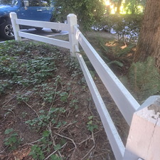 Spring-pressure-washing-for-Kirkland-springs-apartments 20